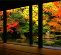 kyoto photo