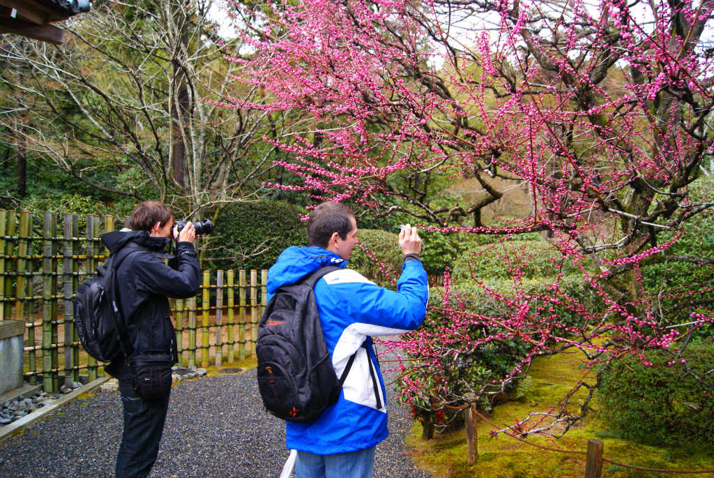 excursion B Course