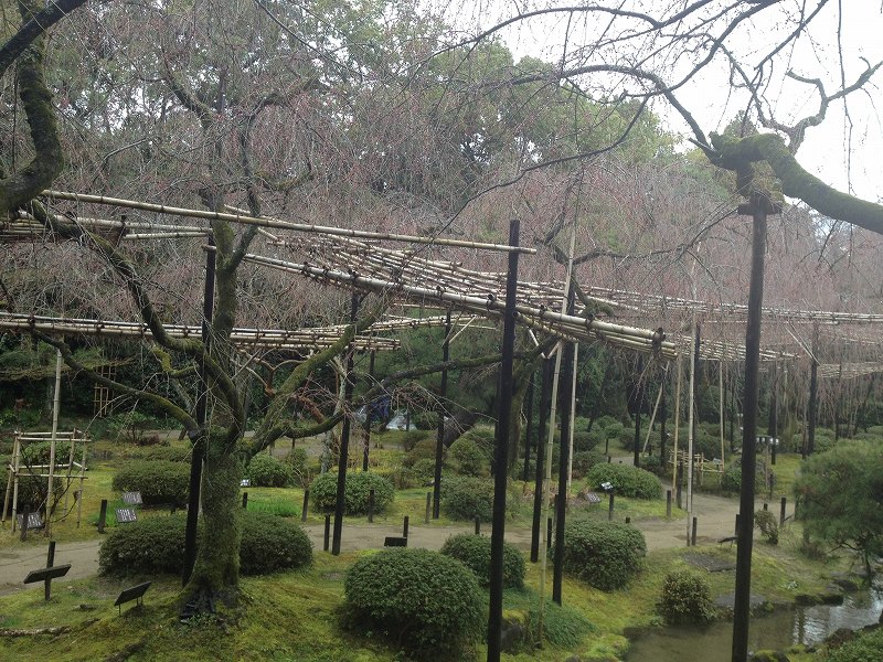excursion C Course